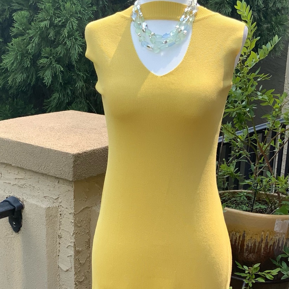 Wishlist Gold Knit Dress - Picture 3 of 6